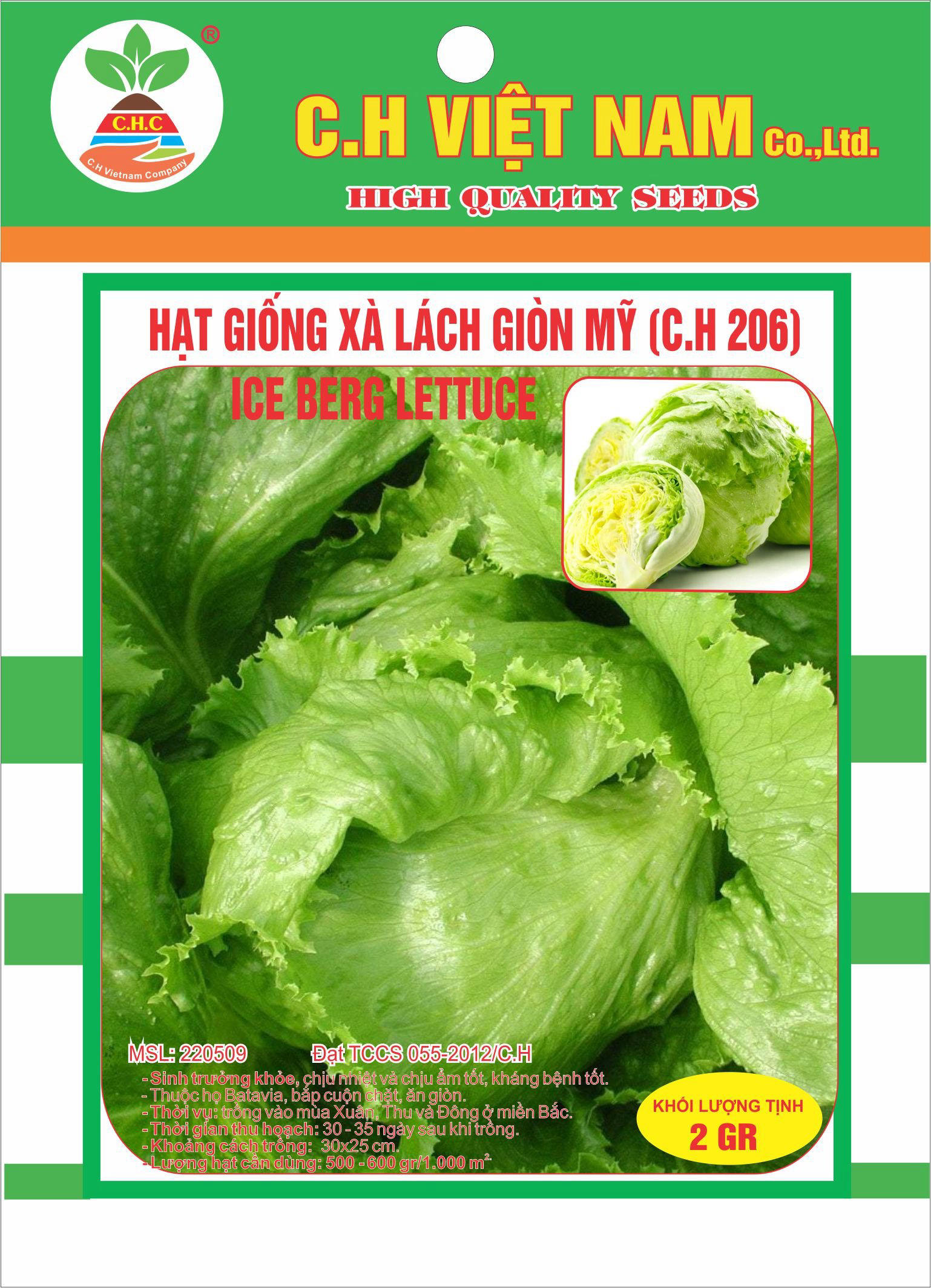 American crispy lettuce seeds
